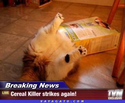 Noticias - huelgas asesino Cereal otra vez!